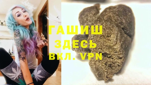 индика Абинск