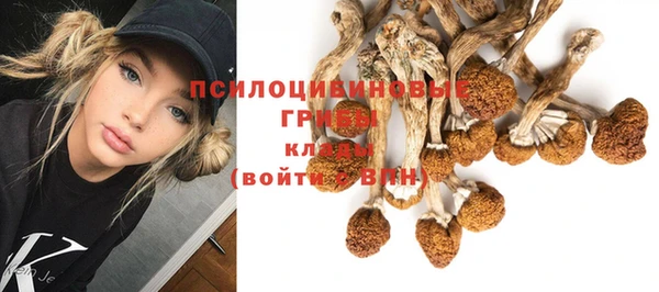 прущий лед Алзамай