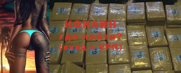 индика Абинск